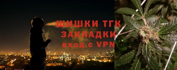 мдпв Елабуга