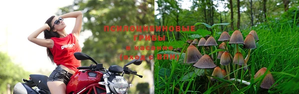 ALPHA PVP Абдулино
