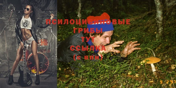 СК Абинск