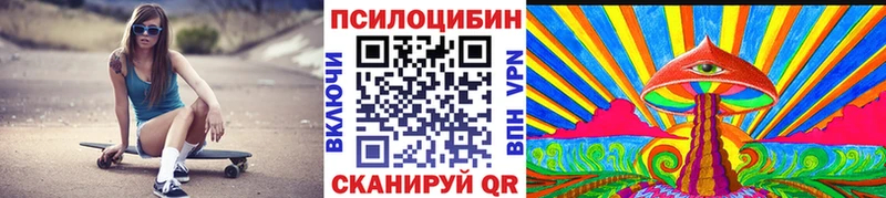 купить закладку  Яранск  Псилоцибиновые грибы Psilocybe 